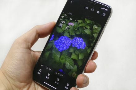 iPhoneの「写真」アプリと「Googleフォト」ってどっちが良い？それぞれのメリットを探る｜iPhoneでGoogle