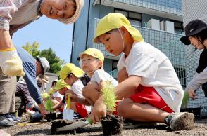 植物いっぱいの公園になりますように　京都府南丹市、園児とお年寄りが一緒に苗植え