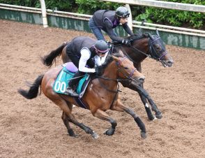 【今日の注目新馬】砂適性あるボヌールキャッツ　素質の高さで押し切り狙う／小倉６Ｒ