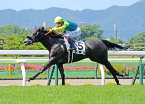 【函館1R】チギリ、2戦目で初勝利 　横山武「今後の成長が楽しみです」