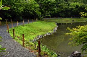 いわき・白水阿弥陀堂庭園、7月2日公開　浸水被害の復旧完了で