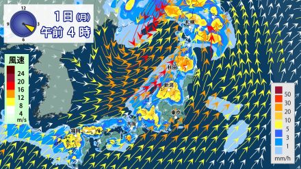 6月最後の週末は西から天気下り坂　再び激しい雷雨のおそれ　7月スタートは日本海側の広範囲で警報級大雨か