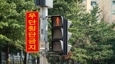 マナー違反特別取り締まりに中国人観光客「横断歩道がない所を渡ったらダメなの？」「なぜ中国人だけ？」　／済州