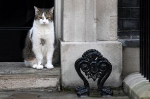 英首相官邸の猫「ラリー」 次の同居人は初の労働党首相か