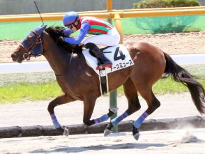 【函館６Ｒ・２歳新馬】９番人気の伏兵アースミューズが波乱演出　小林勝太騎手「人気はなかったですが…馬に感謝」