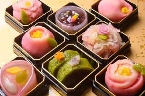 「四国地方で人気の和菓子」ランキング！　2位は善通寺市の「カタパン」が有名な「熊岡菓子店」、1位は？【2024年6月版】