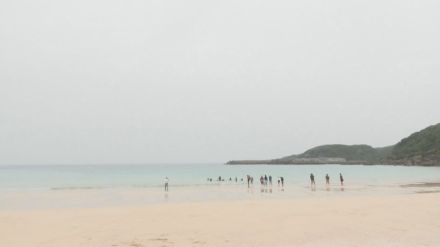 遠泳大会の練習で男性が溺れて死亡　鹿児島・種子島