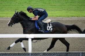 【ラジオNIKKEI賞】小回り1800m「非常に合っていそう」な1頭　馬もジョッキーも“成長ぶり◎”