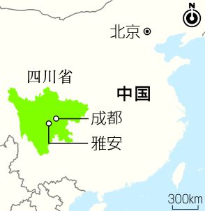 【図解】パンダ保護で町おこし＝経済効果、投資の10倍超―中国