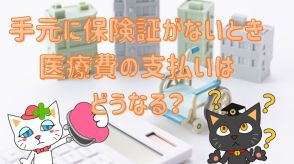 健康保険証が手元にない場合、療養費の支払いはどうなる？請求手続きや支給条件を確認