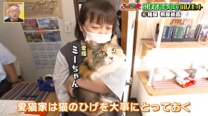 老舗の箱屋がつくった「猫のひげ入れ」　会津木綿を使った美しく丈夫な箱【ふくしまSHOW】