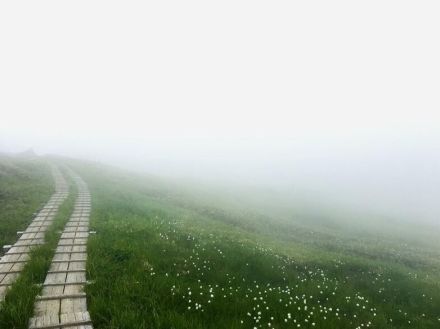 幻想的すぎる…!　「曇り空＆かすみ」がつくる特別な景色　梅雨どきのハイキング「愉しみかた」