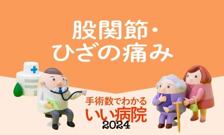 【ひざの痛み】病院ランキング2024年版・全国トップ40　3位さっぽろ病院、2位苑田会人工関節センター病院、1位は？