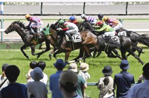 ターフ鮮やか、迫力レースに歓声　「夏の福島競馬」開幕