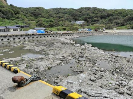 隆起したままの輪島の港　「復元は現実的でない」　能登半島地震半年