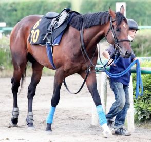 日曜メインレースの注目激走馬…福島１１ＲラジオＮＩＫＫＥＩ賞・Ｇ３