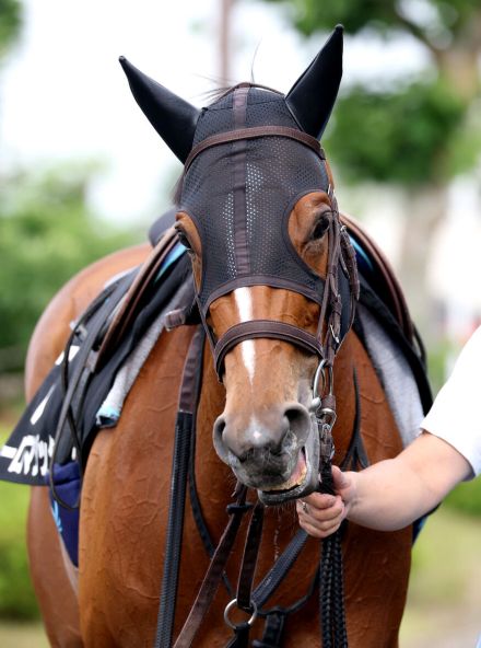 【北九州記念】ピューロマジックが逃げ切り葵Ｓに続く重賞連勝　３歳牝馬は２１年ヨカヨカ以来のＶ