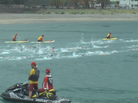 海のマラソンとも呼ばれる…オープンウォータースイミングの大会 500m-5kmの距離ごとにわかれ順位競う