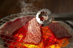 あえて“ガッツリ系”の焼肉を食べる人も、10～30代男女が「夏になると食べたくなるメニュー」【完全版】