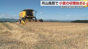 月山高原で「小麦」の収穫始まる　刈り取り1週間早く　地元農家が4年前から耕作放棄地を有効活用【山形発】