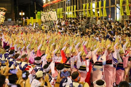 徳島の夏の風物詩「阿波おどり」チケット一般発売開始！