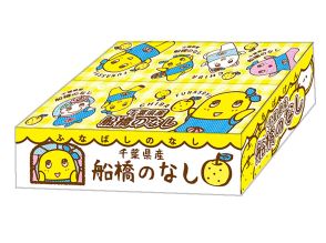 船橋経済新聞・上半期ページビューランキング1位は「ふなっしー梨箱2024」