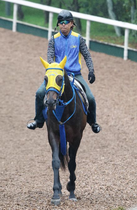 【七夕賞】リフレーミングは現役で希少なキングヘイロー産駒　陣営「うまく展開がはまればやれるかも」