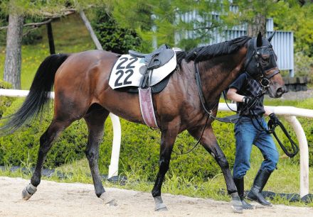 【競馬・プロキオンＳ】無敗の大器・ヤマニンウルス、2年前衝撃デビューの小倉でファン待望の重賞初挑戦　斉藤崇師「能力は高い」と期待隠さず