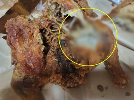 韓国・なぜチキンに“白い物体”が？鶏肉に留まったハエのため？