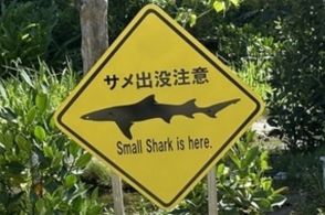 離島で見かけた「サメ出没注意」の標識 ⇒ 池をのぞきこむと本当にサメがいた！ どういうこと？