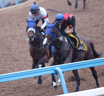 キングズパレス今度こそ重賞制覇だ　松岡騎手「馬自身がやることを分かってきた」／七夕賞