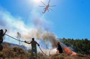 ギリシャ、森林火災多発の「危険な夏に」　首相が懸念