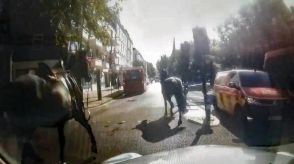 軍馬がまたロンドン市内を疾走、４月に続き３頭が脱走騒ぎ