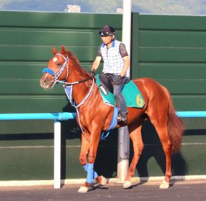 【ＰＯＧ】新馬戦３着のデコピンは中１週で続戦へ　村田調教師「初戦からいいレースをしてくれた」