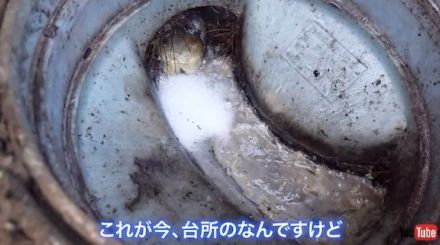 お風呂場の“悪臭の原因”はまさかの……!?　排水管掃除のプロがごっそり除去したものに「生命力すごい」「大敵ですね」と驚きの声