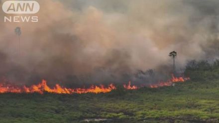 南米ブラジルの世界最大級湿原火災広がる　発生件数は史上最多に　異常少雨の影響か