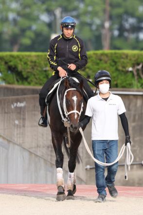 ハピは小回りコースが鍵　大久保師「直線も短いので早めに仕掛ける」／プロキオンＳ