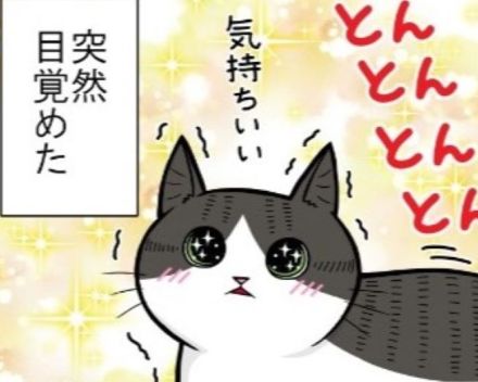 【ネコ漫画】「カ・イ・カ・ン…!!」猫が溺れた快楽とは!?ツンな猫もデレになる“お尻とんとん”【作者に聞く】