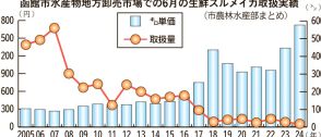 函館市水産物地方卸売市場6月のスルメイカ取扱量、過去最低の19トン　サイズも平均より小型