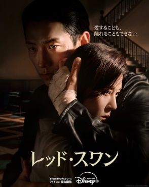 韓国ドラマ「レッド・スワン」配信、キム・ハヌル×RAINが財閥家の秘密を暴く