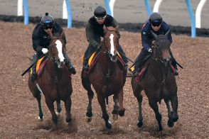 【七夕賞追い切り】ノッキングポイントは楽な手応えで併入　「乗り込み自体は順調。右回り自体は問題ないはず」