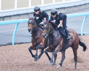 【七夕賞】重賞初挑戦セイウンプラチナはＷコースで自己ベスト更新　千葉調教師「完璧に仕上がった」