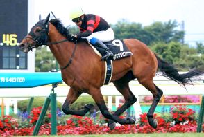 【注目馬動向】巴賞を勝ったホウオウビスケッツは函館記念へ