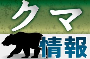 江津市のキャンプ場付近でクマ目撃　島根県