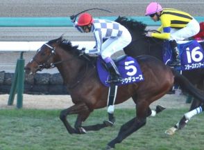 凱旋門賞、今年は3歳馬優勢？ 大将格は不出走の可能性も、日本馬の現時点での“立ち位置”は