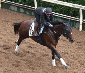 カレンルシェルブル力強く坂路54秒２、安田翔師「調整は順調にこれています」／七夕賞