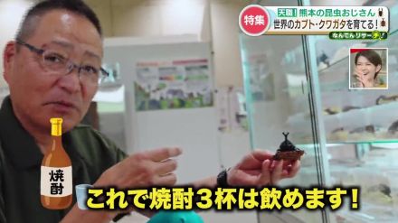 家に昆虫1000匹以上!?「虫を見つめて焼酎3杯いける」ほどの愛で“人気展示ブース”を生んだ　『カブトムシ・クワガタ』が好きすぎる熊本の昆虫おじさん