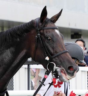 【スパーキングレディーＣ】内々を進んだライオットガールは５着　松山弘平騎手「最後は斤量のぶんも」