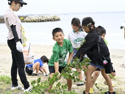 高浜子ども会育成会と長崎シークリーン、野母崎高浜海水浴場で清掃活動