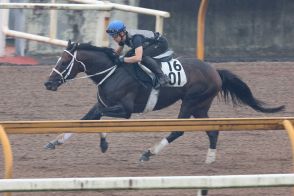 【プロキオンS】ハピ＆グロリアムンディ　大久保厩舎の2頭ともいい感じ